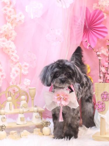 20250311うにちゃん